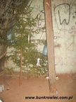 2007